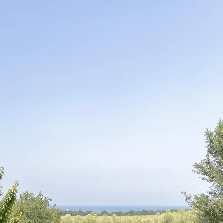 Fiorella Poreč