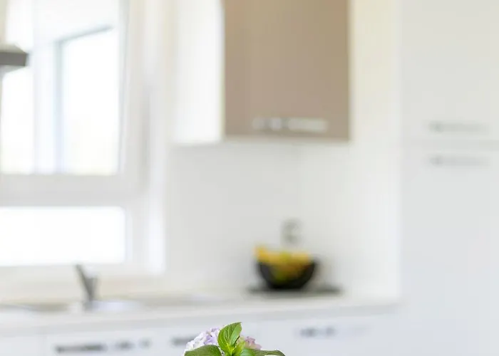 Fiorella Apartamento Poreč