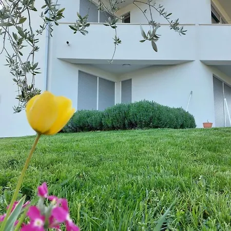 Apartment Fiorella