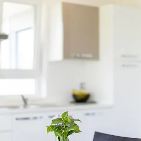 Fiorella Apartment Porec